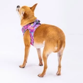 PawStar  Airmesh Rose Camouflage Göğüs Tasması - 4