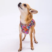 PawStar  Airmesh Balloons Göğüs Tasması thumbnail 2