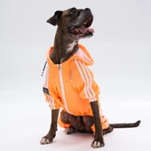 PawStar Turuncu Tuta Büyük Irk Tulum - 1