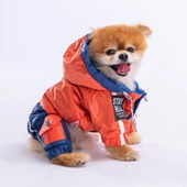 PawStar Turuncu Lacivert Bicolor Tulum Yağmurluk Küçük ve Orta Irk - 2