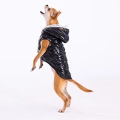PawStar Siyah Light Wave Yelek Küçük ve Orta Irk - 2