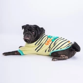 PawStar Limon Dino Star Sweat Küçük ve Orta Irk Sweat - 2