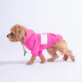 PawStar Pembe Cute Hoodie Küçük ve Orta Irk - 2