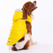 PawStar Sarı Light Wave Yelek Küçük ve Orta Irk Yağmurluk - 1