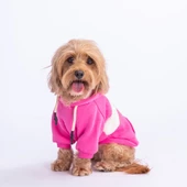PawStar Pembe Cute Hoodie Küçük ve Orta Irk - 3