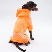 PawStar Turuncu Tuta Büyük Irk Tulum - 3