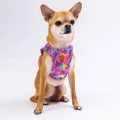 PawStar  Airmesh Rose Camouflage Göğüs Tasması - 2
