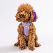 PawStar  Airmesh Ice Cream Göğüs Tasması - 2