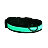 Petzz Işıklı Ayarlanabilir Flaşörlü Kedi ve Köpek Boyun Tasması Yeşil 40-48 Cm / 2.5 Cm - 1