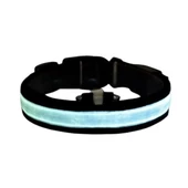 Petzz Işıklı Ayarlanabilir Flaşörlü Kedi ve Köpek Boyun Tasması Mavi 35-43 Cm / 2.5 Cm - 1