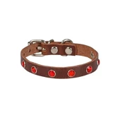Cattie Gerçek Deriden Taşlı Kedi Boyun Tasması Small Kahverengi 1x16-20 Cm - 1