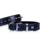 Doggie Comfort Deri Çivili Köpek Boyun Tasması Medium Siyah 3.5x47-55 Cm - 1