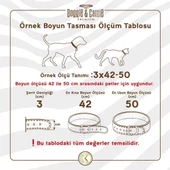 Cattie Gerçek Deriden Taşlı Kedi Boyun Tasması Xlarge Kırmızı 1.5x26-31 Cm - 4