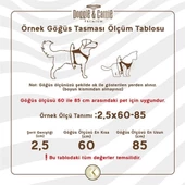 Cattie Kedi Göğüs ve Gezdirme Tasma Takımı Haki 1x25-40 Cm - 4