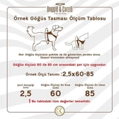 Cattie Havalı Dokuma Kedi Göğüs ve Gezdirme Takımı Small Siyah 1x20-30 Cm - 4