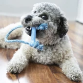 Kong Yavru Köpek İpli Diş Oyuncağı Xsmall Mavi/Pembe - 2