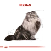Royal Canin Persian Adult Yetişkin İran Kedisi Maması 2 Kg - 4