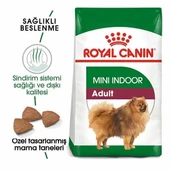 Royal Canin Mini İndoor Adult Yetişkin Köpek Maması 1.5 Kg - 2