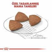 Royal Canin Mini İndoor Adult Yetişkin Köpek Maması 1.5 Kg - 4