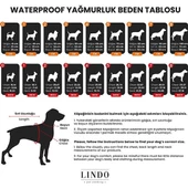 Lindo Dogs Aqua İçi Fileli Su Geçirmez Köpek Yağmurluğu Mavi Beden 3 - 4