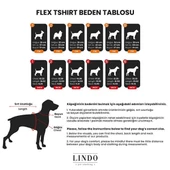 Lindo Dogs Make Today Amazing Köpek Kıyafeti Tshirt Yeşil Beden 4 - 5