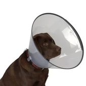 Dermo-Vet Köpek Elizabet Yakalığı 10 Cm - 1