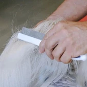 Ferplast GRO 5762 Premium Çift Taraflı Kedi ve Köpek Tüy Tarama Fırçası Small - 4