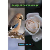 Bakışlarda Kalan Aşk - İsmail Ceylan - 1