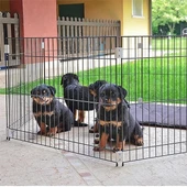 Ferplast Metal Köpek Eğitim Kafesi Siyah 80x80x62 Cm - 3