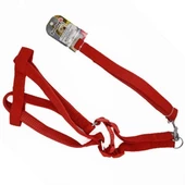 a Tasması ve Göğüs Tasması Takımı Kırmızı 20 Mm 120 Cm - 1