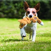 Kong Knots Tilki Peluş Köpek Oyuncağı Large 39 Cm - 2