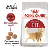 Royal Canin Fit 32 Yetişkin Kedi Maması 2 Kg - 2