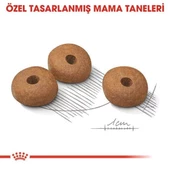 Royal Canin Mini Light Care Diyet Yetişkin Köpek Maması 3 Kg - 5