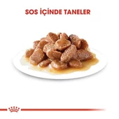 Royal Canin Sterilised Gravy Pouch Kısırlaştırılmış Kedi Maması 85 Gr - 4