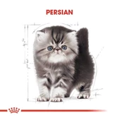 Royal Canin Persian Kitten Yavru İran Kedisi Maması 2 Kg - 3