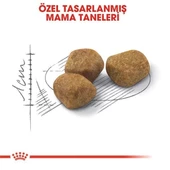 Royal Canin İndoor 7+ Senior Yaşlı Kedi Maması 1.5 Kg - 5