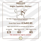 Cattie Havalı Dokuma Kedi Göğüs ve Gezdirme Takımı Medium Kırmızı 1x25-35 Cm - 3
