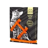 Cattie Kedi Göğüs ve Gezdirme Tasma Takımı Turuncu 1x25-40 Cm - 1