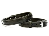 Doggie Comfort Deri Kemik Desenli Köpek Boyun Tasması Small Siyah 2x30-35 Cm - 1