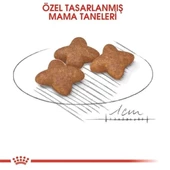 Royal Canin Mini Adult Küçük Irk Yetişkin Köpek Maması 2 Kg - 5