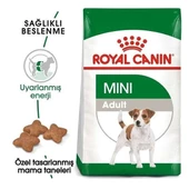 Royal Canin Mini Adult Küçük Irk Yetişkin Köpek Maması 2 Kg - 2