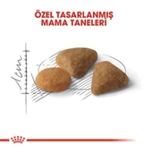 Royal Canin Exigent Savour Seçici Yetişkin Kedi Maması 2 Kg - 3