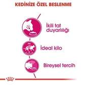 Royal Canin Exigent Savour Seçici Yetişkin Kedi Maması 2 Kg - 2