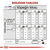 Royal Canin Mini Exigent Adult Yetişkin Köpek Maması 3 Kg - 5