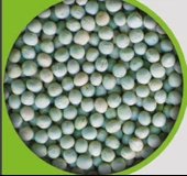 Yeşil Bezelye 1 kg - 1