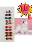 kedi köpek toka 10 adet karışık pet aksesuar - 1
