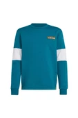 adidas CREW Çocuk   Sweatshirt IW6013 - 2