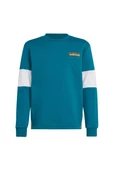 adidas CREW Çocuk   Sweatshirt IW6013 - 1