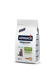 Advance Advance Young Sterilised Tavuklu Kısırlaştırılmış Yavru Kedi Maması 1.5 Kg - 1