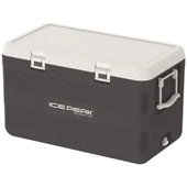IcePeak CoolCraft 120 Buzluk 113 Litre-FÜME - 1